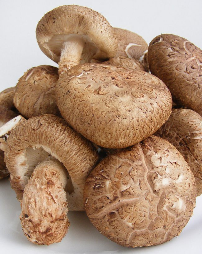 Shiitake Mushroom Recipes