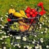 Shopping cart