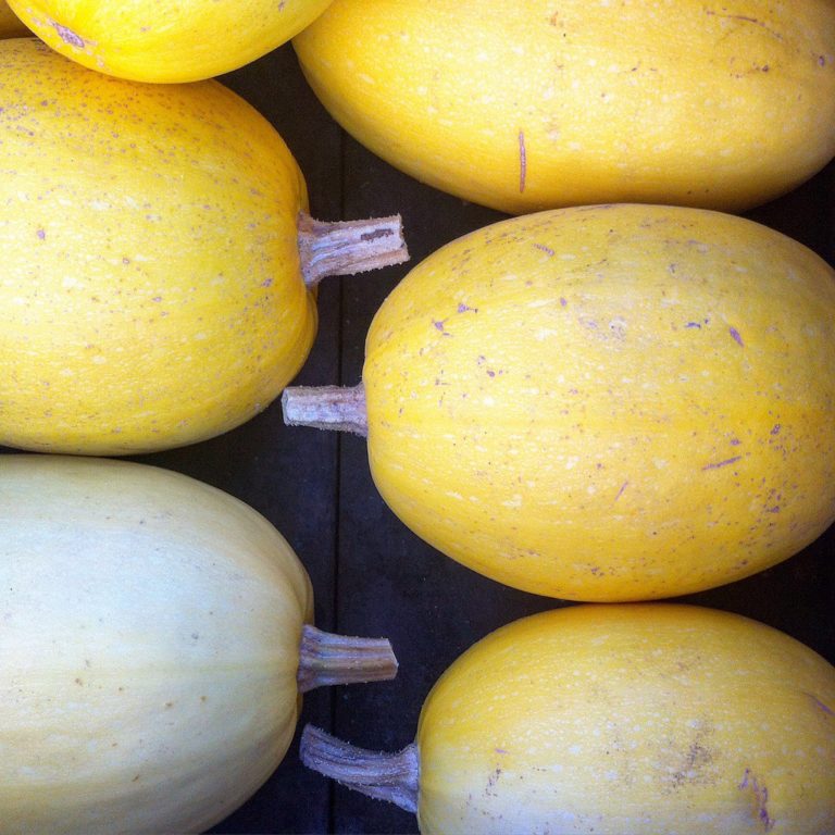 Spaghetti Squash Australia Recipe