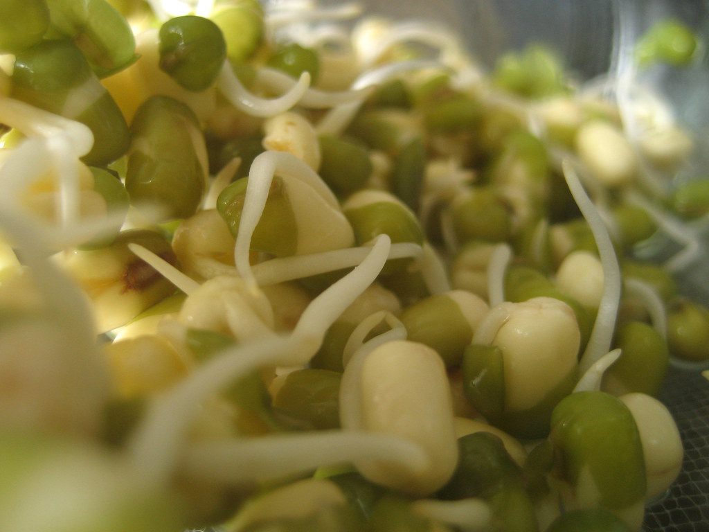 Bean Sprouts Nutrition Facts - Auscrops.com.au