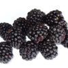 blackberries