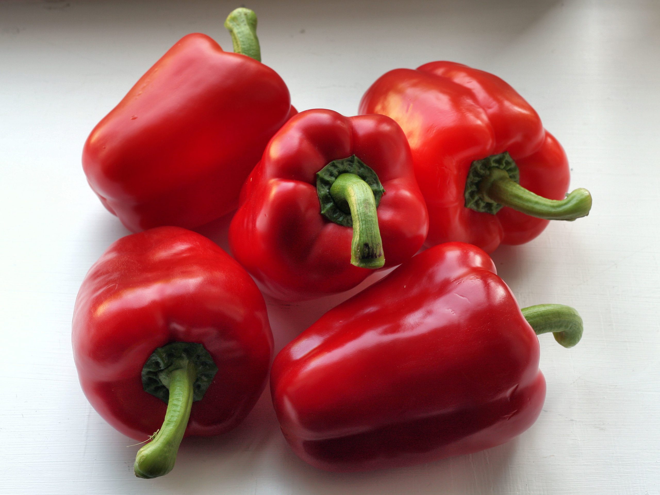 capsicum red