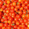 cherry tomato