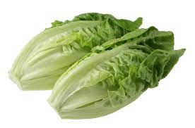 cos lettuce