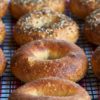 Everything bagel