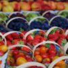 fruit picks