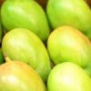 green mangoes