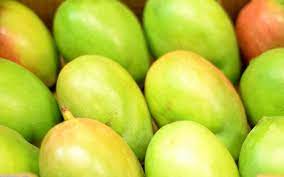 green mangoes