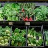 grocery home delivery