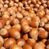 hazelnuts