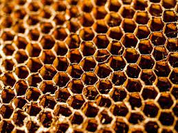 honey comb
