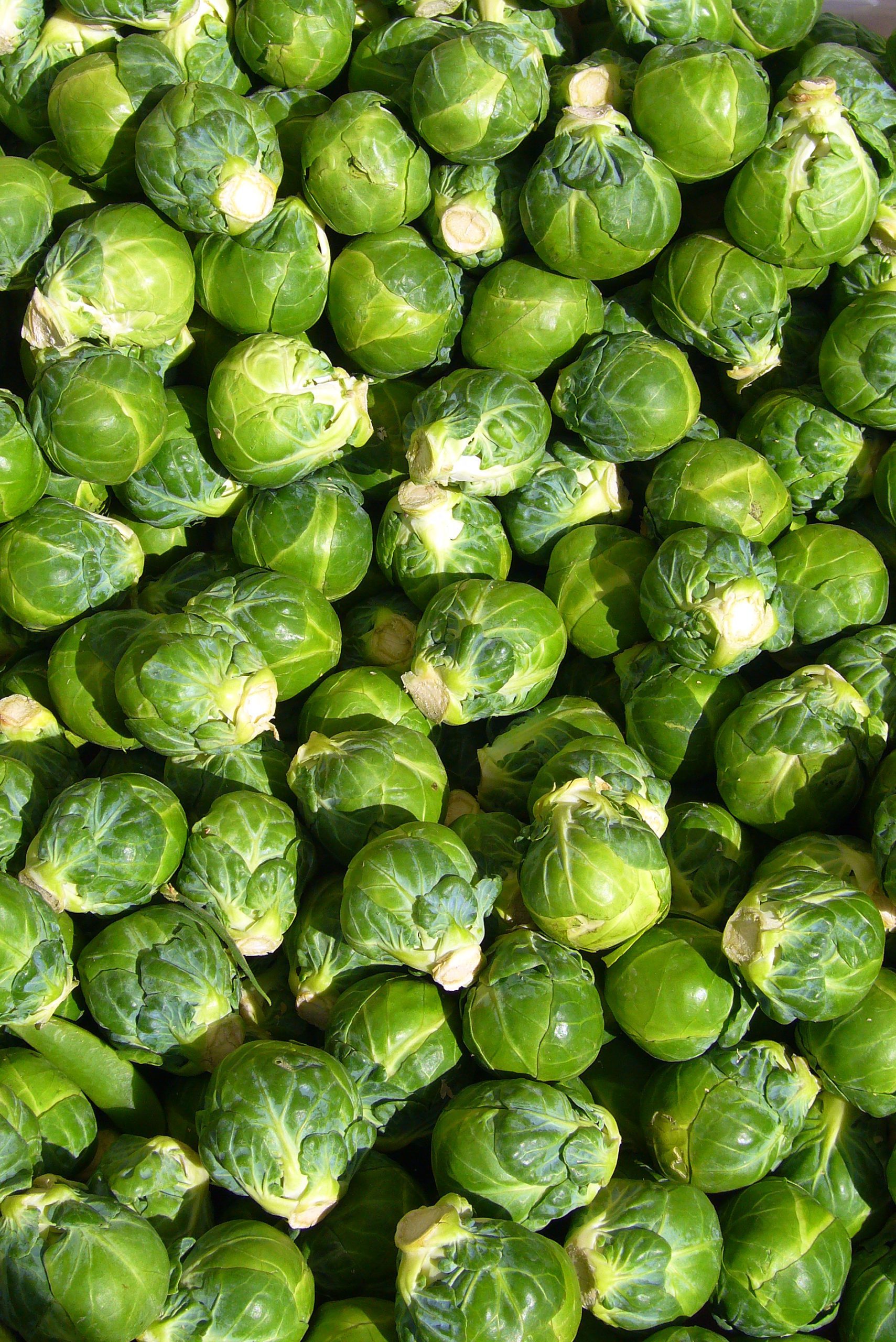roasted brussel sprouts recipes
