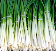 leek