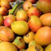 mangoes for sale