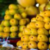 mangos for sale