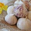 pearl onions