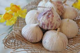 pearl onions