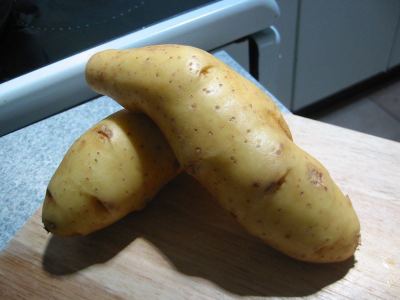 potato kipfler