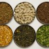 pulses