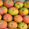 r2e2 mango