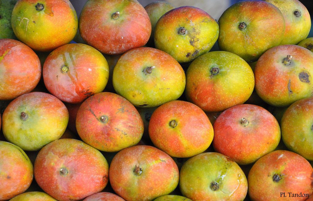 R2E2 Mango - Nutrition and Facts - auscrops.com.au