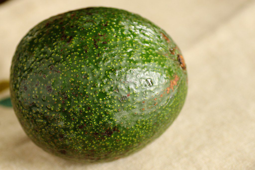 reed avocados