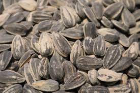 sunflower seeds