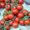 tomatoes cherry