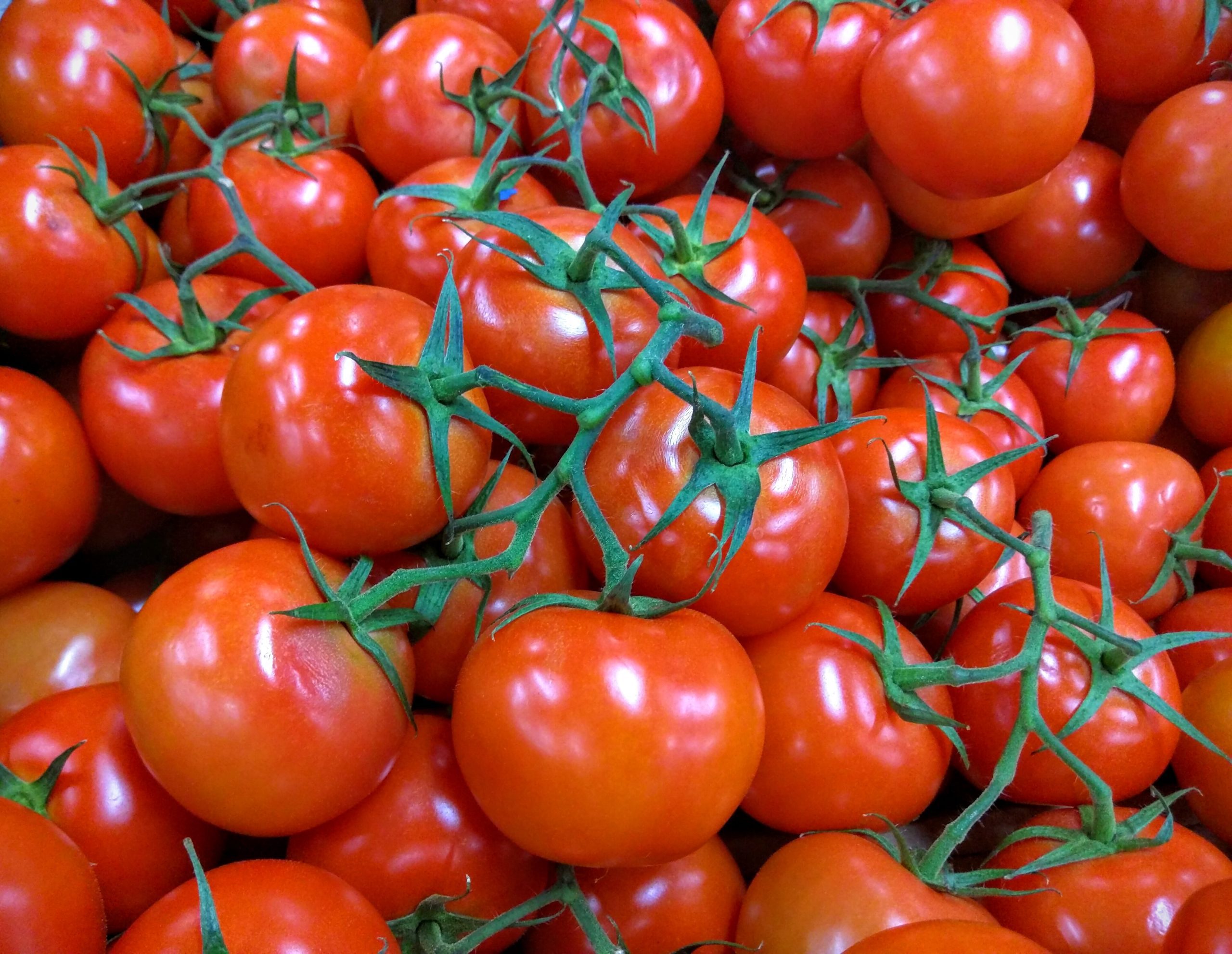 All About Truss Tomatoes - auscrops.com.au