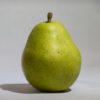 Anjous Pear
