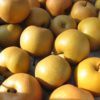 Asian pear