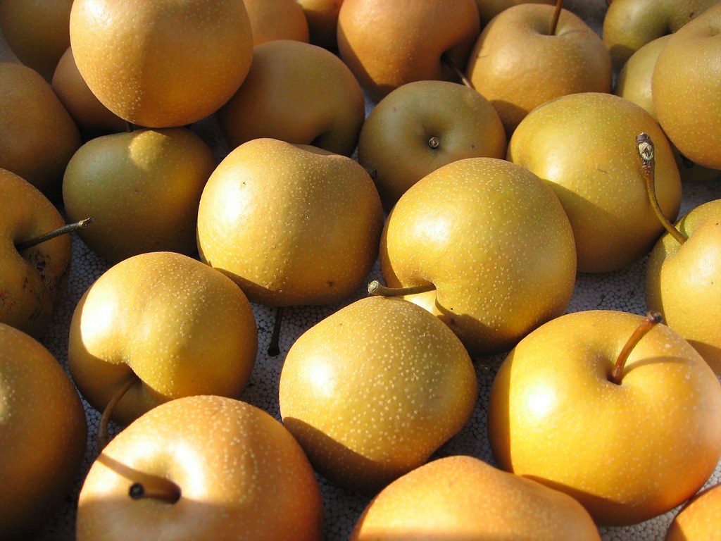 Asian pear