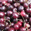 Bing Cherries