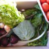 Boxed veggies