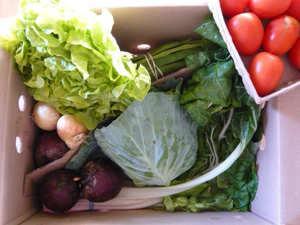 Boxed veggies