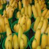 Burro Banana