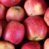 Cameo Apples