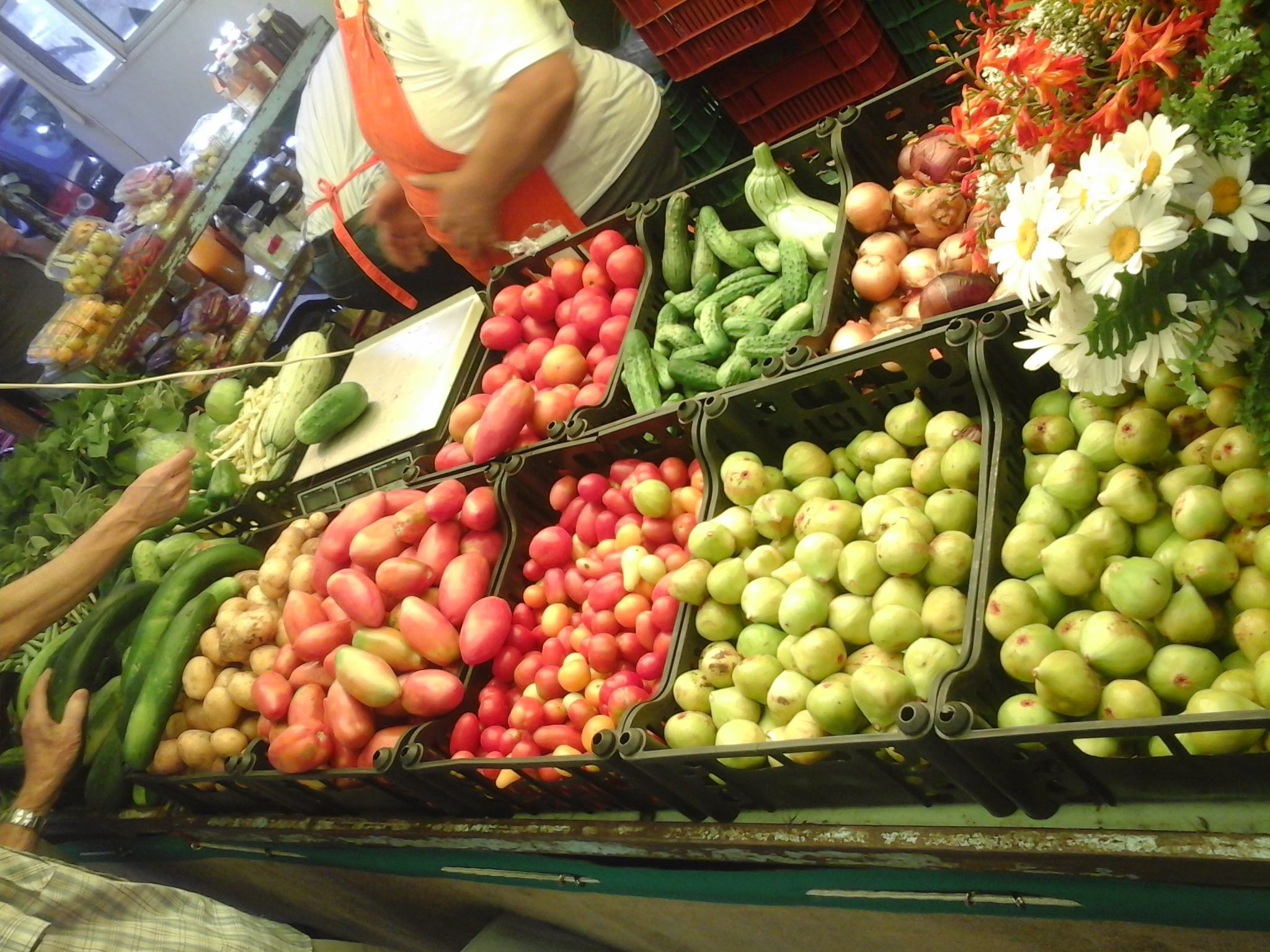 Discount groceries