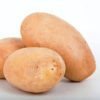 Dutch Cream potatoes