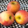 Fuji Apples