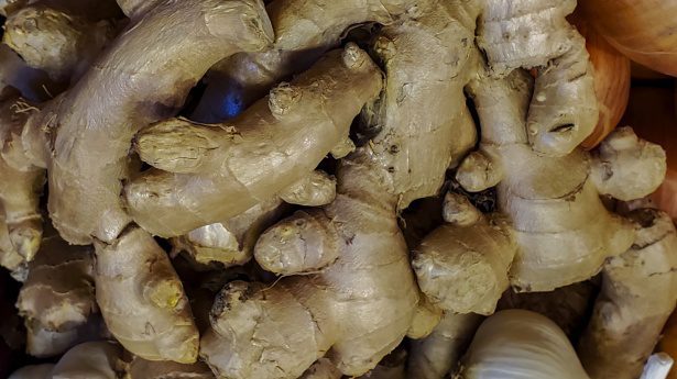 Galangal where to buy at Auscrops