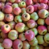 Pazazz Apples