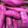 Purple Sweet Potatoes