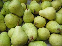 Pyrus nivalis