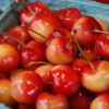 Rainier Cherries