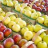 Seasonal fruit