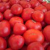 Tomato Price