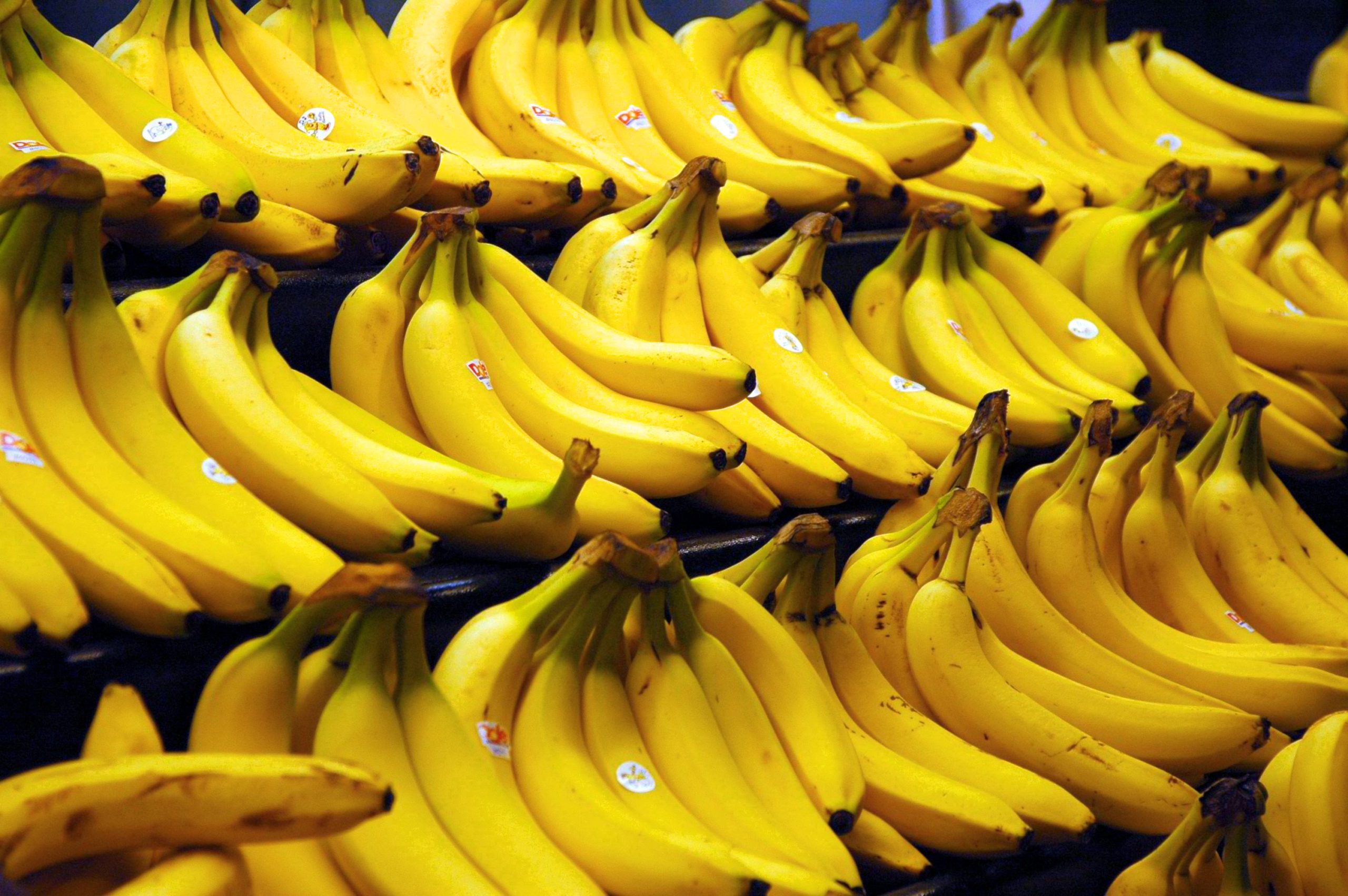 Types of bananas