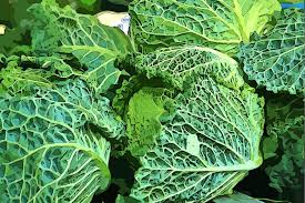 Vegetable prices australia