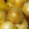 bag of onions